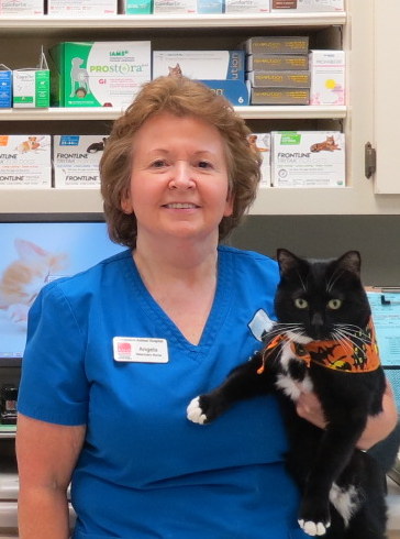 Our Care Team - Veterinary Nurse, Companion Animal Hospital, Phenix City Our Care Team - Veterinary Nurse, Companion Animal Hospital, Phenix City