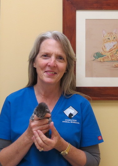 Our Veterinary Technician at Companion Animal Hospital in Phenix City, AL Our Veterinary Technician at Companion Animal Hospital in Phenix City, AL