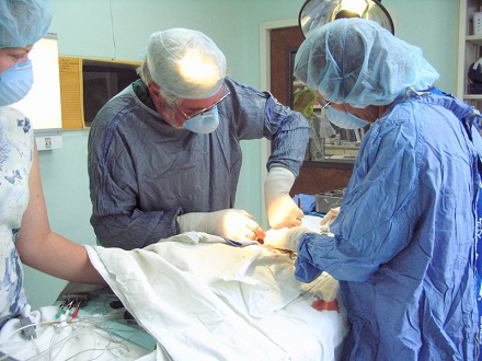 Veterinarian Team performing orthopedic surgery at Companion Animal Hospital, Phenix City, AL