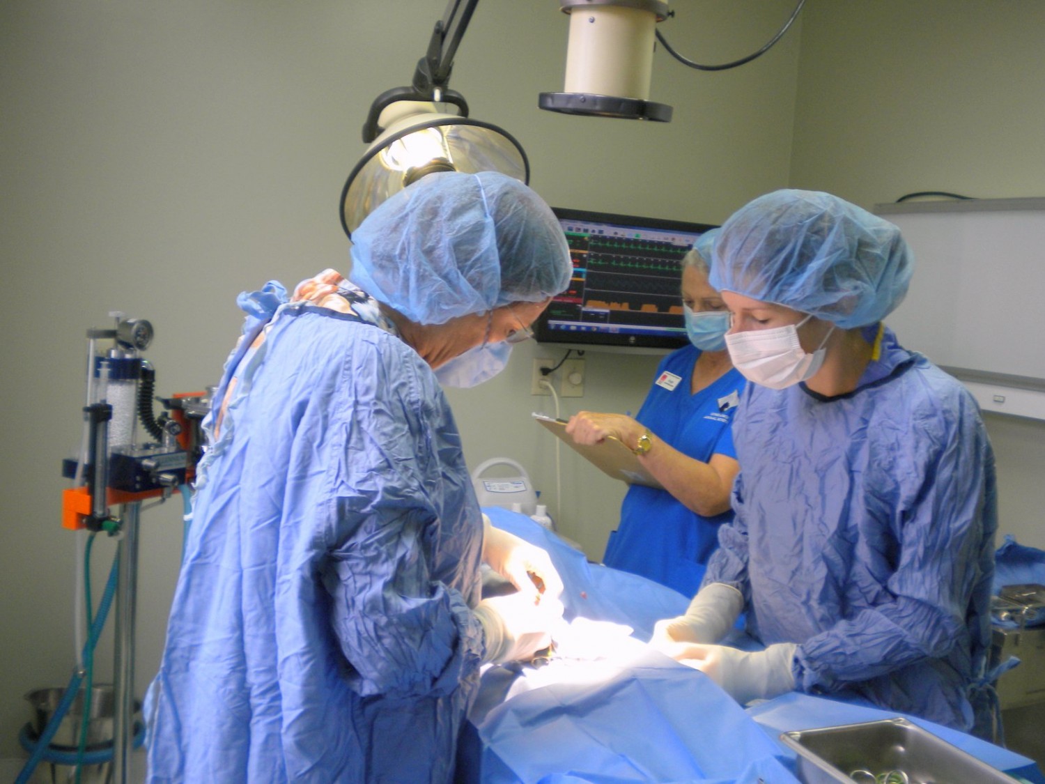 Veterinary Team in surgery at Companion Animal Hospital in Phenix City, AL 