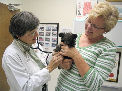 Our Veterinarian Dr. Cashwell at Companion Animal Hospital in Phenix City, AL 