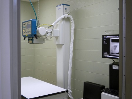 In-house high frequency x-ray capabilities at Companion Animal Hospital in Phenix City, AL 