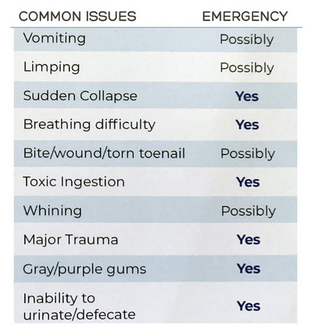 Emergency Chart
