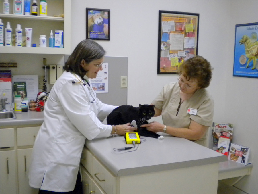 Dr. Cashwell and Angela at Companion Animal Hospital in Phenix City, AL