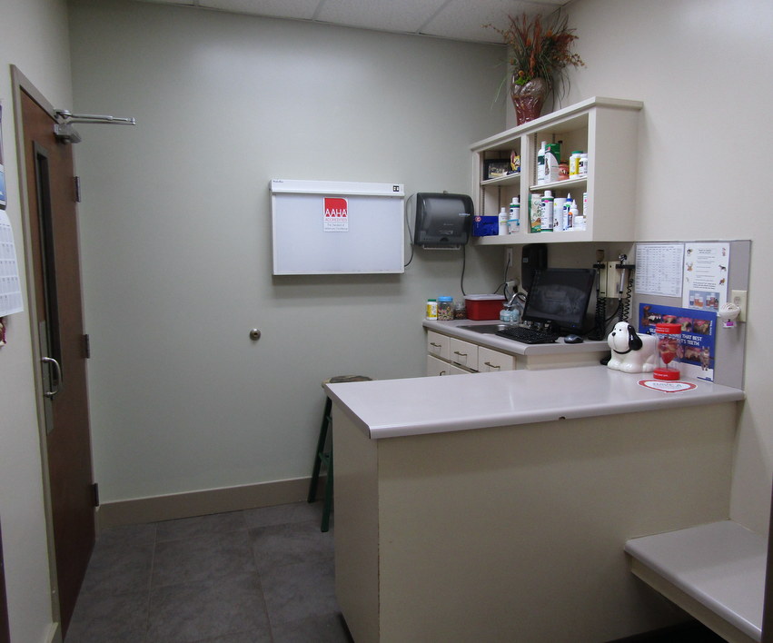 Dog Exam Room at Companion Animal Hospital in Phenix City, AL 