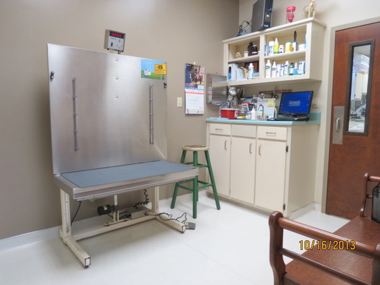 Exam Room for Dogs at Companion Animal Hospital in Phenix City, AL